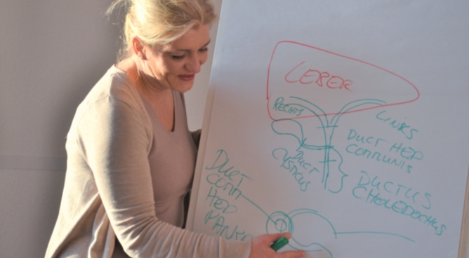 HP-Lernkonzept Lebendiges Lernen in 8 Modulen (neu ab 2019)
