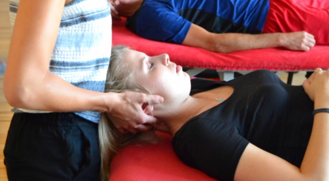 Manuelle Therapie - Das Osteopathische Konzept
